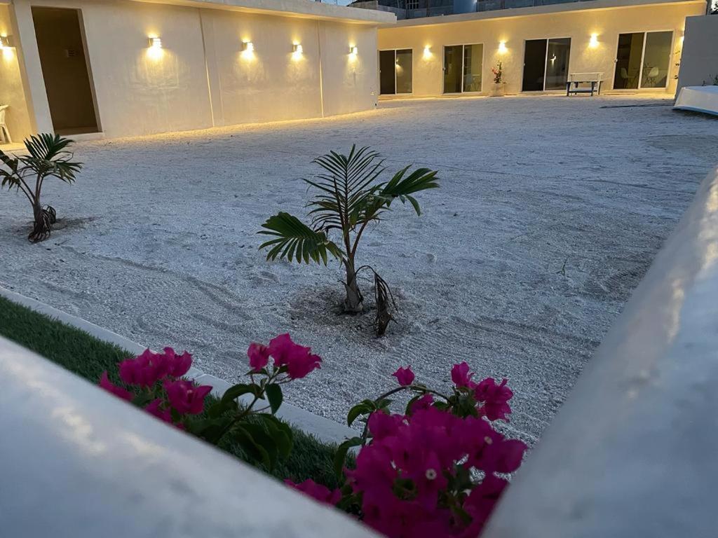 Palomar Villas Río Lagartos 外观 照片